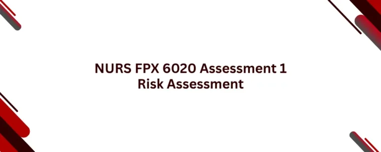 NURS FPX 6020 Assessment 1 Risk Assessment