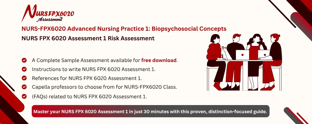 NURS FPX 6020 Assessment 1 Risk Assessment